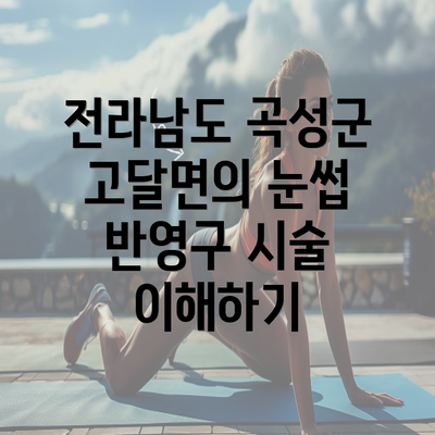 전라남도 곡성군 고달면의 눈썹 반영구 시술 이해하기