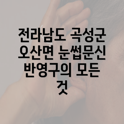 전라남도 곡성군 오산면 눈썹문신 반영구의 모든 것