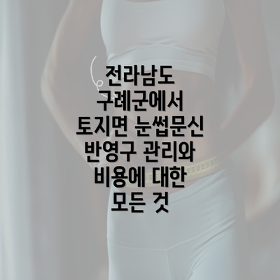 전라남도 구례군에서 토지면 눈썹문신 반영구 관리와 비용에 대한 모든 것