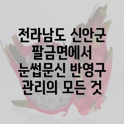 전라남도 신안군 팔금면에서 눈썹문신 반영구 관리의 모든 것