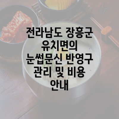 전라남도 장흥군 유치면의 눈썹문신 반영구 관리 및 비용 안내