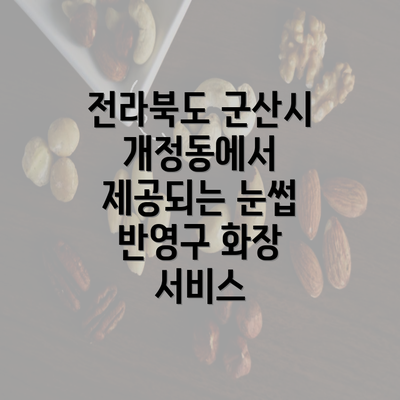 전라북도 군산시 개정동에서 제공되는 눈썹 반영구 화장 서비스