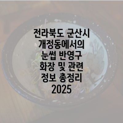 전라북도 군산시 개정동에서의 눈썹 반영구 화장 및 관련 정보 총정리 2025