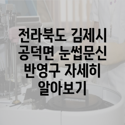 전라북도 김제시 공덕면 눈썹문신 반영구 자세히 알아보기