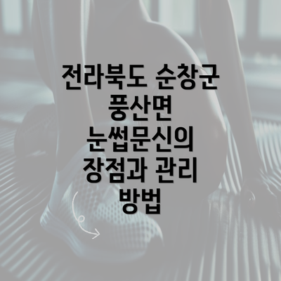 전라북도 순창군 풍산면 눈썹문신의 장점과 관리 방법