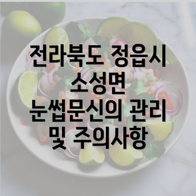 전라북도 정읍시 소성면 눈썹문신 반영구에 대한 모든 것