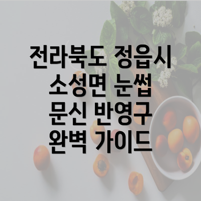 전라북도 정읍시 소성면 눈썹 문신 반영구 완벽 가이드