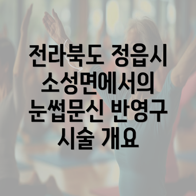 전라북도 정읍시 소성면에서의 눈썹문신 반영구 시술 개요