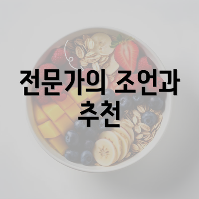 전문가의 조언과 추천