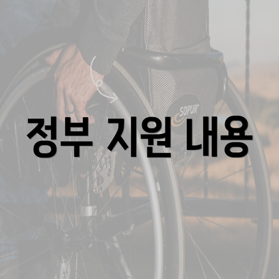 정부 지원 내용