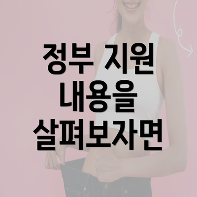 정부 지원 내용을 살펴보자면