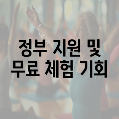 정부 지원 및 무료 체험 기회