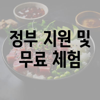 정부 지원 및 무료 체험