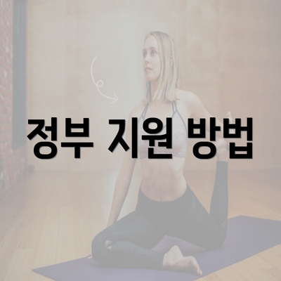 정부 지원 방법