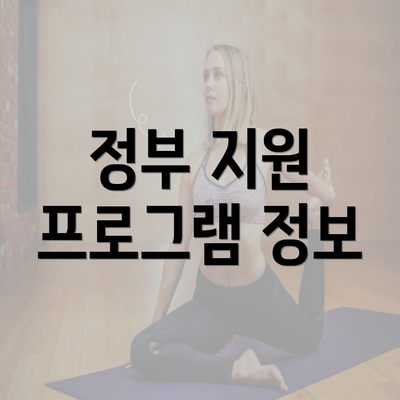 정부 지원 프로그램 정보