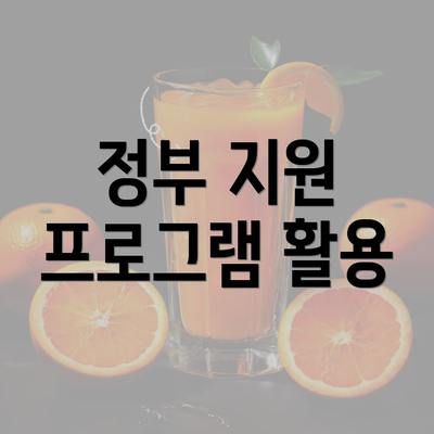 정부 지원 프로그램 활용