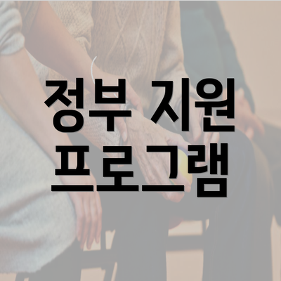 정부 지원 프로그램