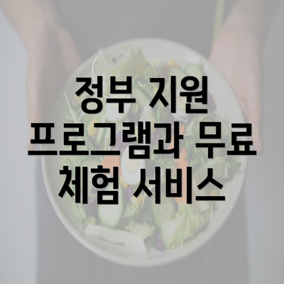 정부 지원 프로그램과 무료 체험 서비스