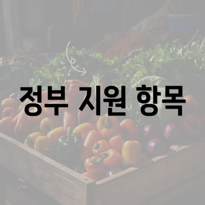 정부 지원 항목