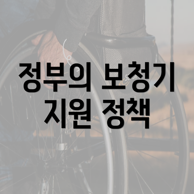 정부의 보청기 지원 정책