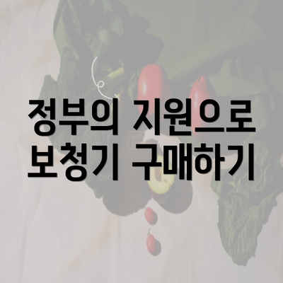 정부의 지원으로 보청기 구매하기