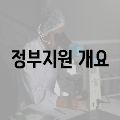 정부지원 개요