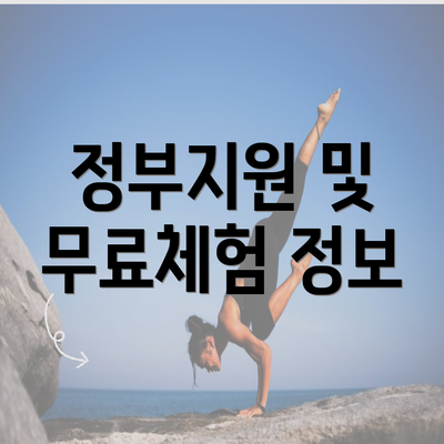 정부지원 및 무료체험 정보