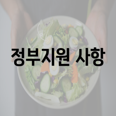 정부지원 사항