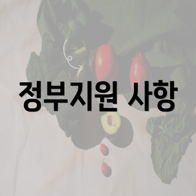 정부지원 사항