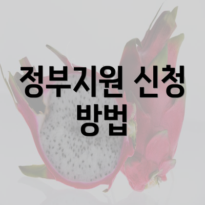 정부지원 신청 방법