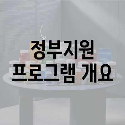 정부지원 프로그램 개요