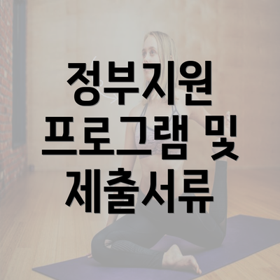 정부지원 프로그램 및 제출서류