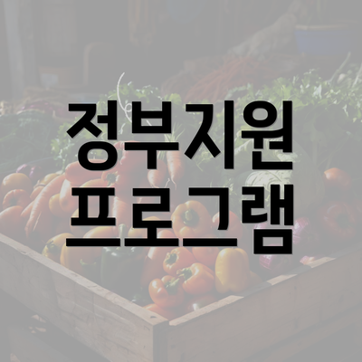 정부지원 프로그램