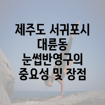 제주도 서귀포시 대륜동 눈썹반영구의 중요성 및 장점