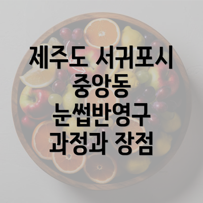 제주도 서귀포시 중앙동 눈썹반영구 과정과 장점