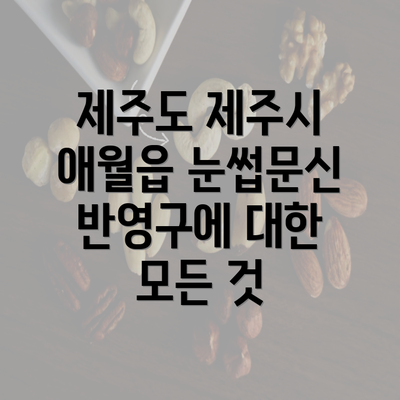 제주도 제주시 애월읍 눈썹문신 반영구에 대한 모든 것