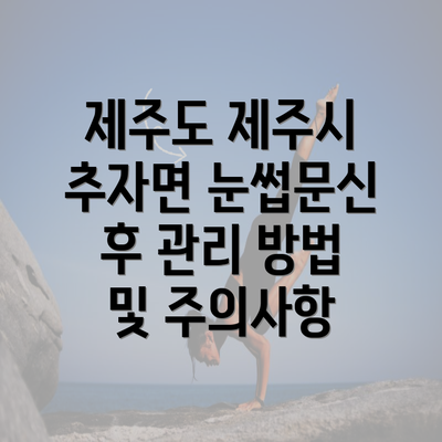 제주도 제주시 추자면 눈썹문신 후 관리 방법 및 주의사항