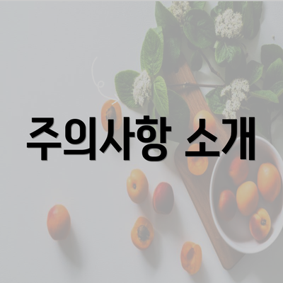 주의사항 소개