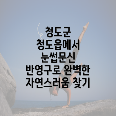 청도군 청도읍에서 눈썹문신 반영구로 완벽한 자연스러움 찾기