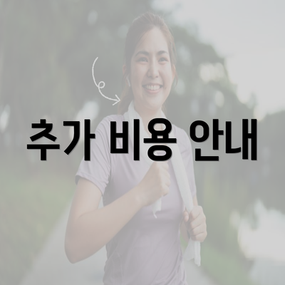 추가 비용 안내