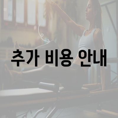 추가 비용 안내