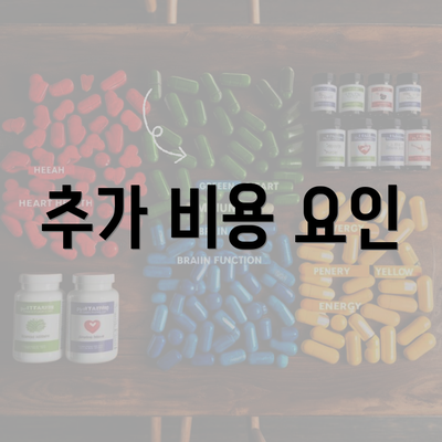 추가 비용 요인