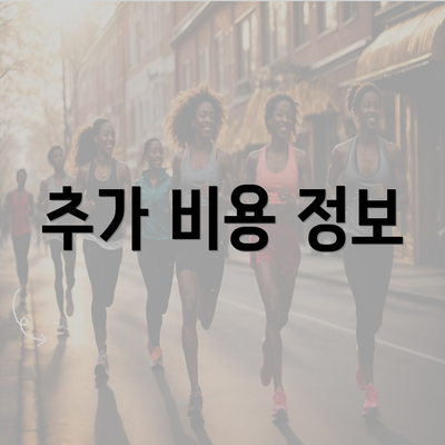 추가 비용 정보