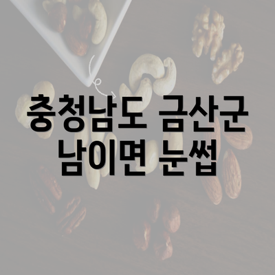 충청남도 금산군 남이면 눈썹