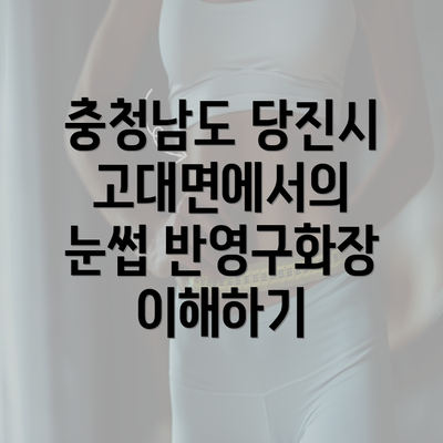 충청남도 당진시 고대면에서의 눈썹 반영구화장 이해하기