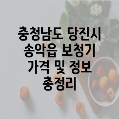 충청남도 당진시 송악읍 보청기 가격 및 정보 총정리