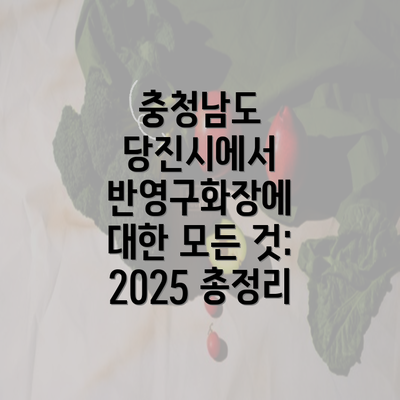 충청남도 당진시에서 반영구화장에 대한 모든 것: 2025 총정리