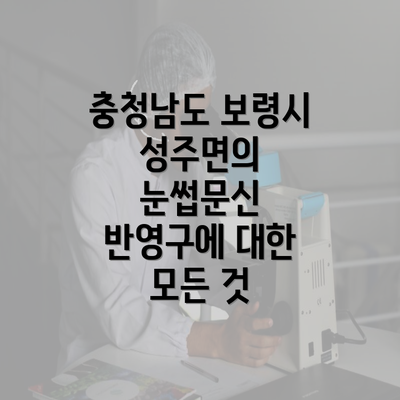 충청남도 보령시 성주면의 눈썹문신 반영구에 대한 모든 것