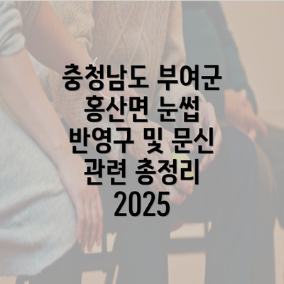 충청남도 부여군 홍산면 눈썹 반영구 및 문신 관련 총정리 2025