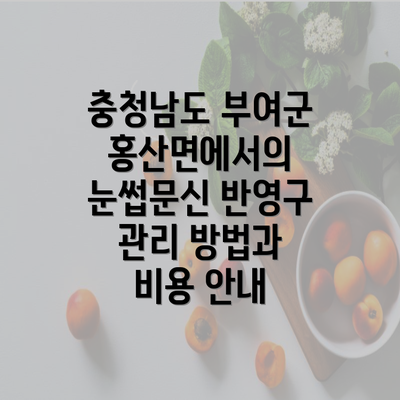 충청남도 부여군 홍산면에서의 눈썹문신 반영구 관리 방법과 비용 안내